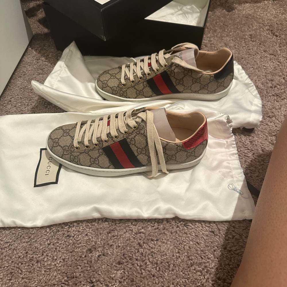 Gucci Ace Beige and Red Sneakers